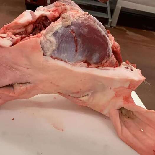 漳州母猪头