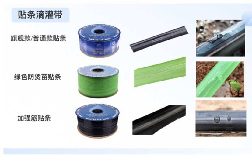 徐闻县广东湛江优质滴灌带高效节水农业必备