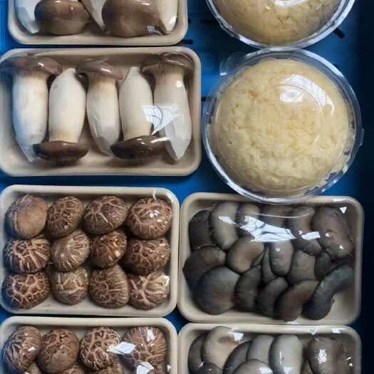 上海香菇平菇秀珍菇