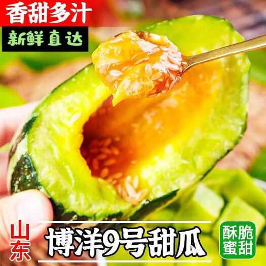 寿光市[京东快递]博洋9号甜瓜头茬