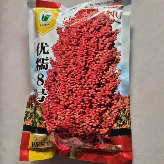 邵东市优糯8号糯高粱种子生育期135天株高165厘米穗长35厘米