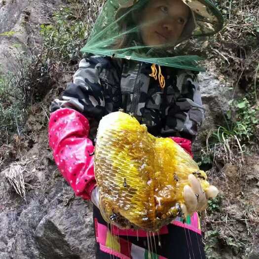 勐腊县版纳野生树洞蜂蜜
