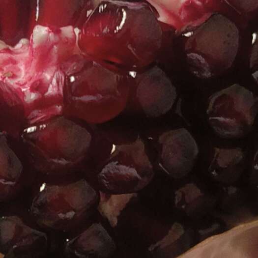 西安酸甜石榴