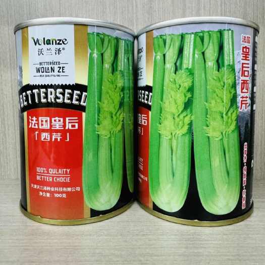 沭阳县法国皇后西芹种子四季播优质耐热芹菜种子高产耐寒露地大棚蔬菜种