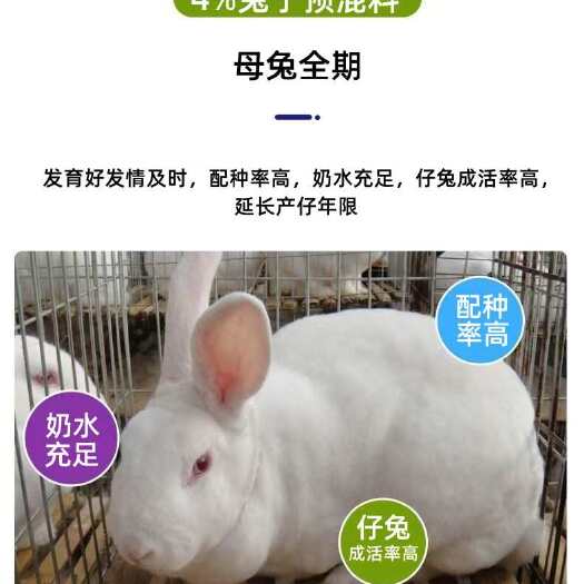 新郑市华东正大4%仔兔 母兔预混料 供应优质饲料 助力养殖高效生产