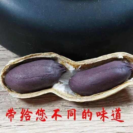 滑县河南安阳滑县优质黑花生 干花生产地直发
