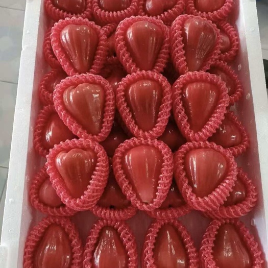 新鲜莲雾现摘现发热带水果批发零售