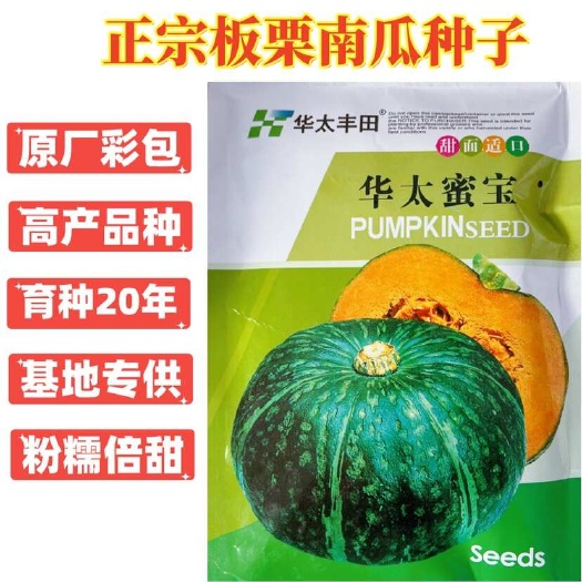 板栗南瓜种子新西兰南瓜种子贝贝南瓜种子甜面好吃栗味南瓜品种