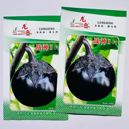 宿迁龙盛战神黑圆茄种子 早熟杂交一代黑圆茄子种子