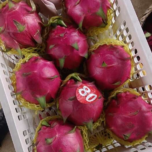 宾阳县红心密
