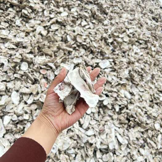 连云港连云港赣榆贝壳粉饲料 量大优惠 真材实料 超低价格