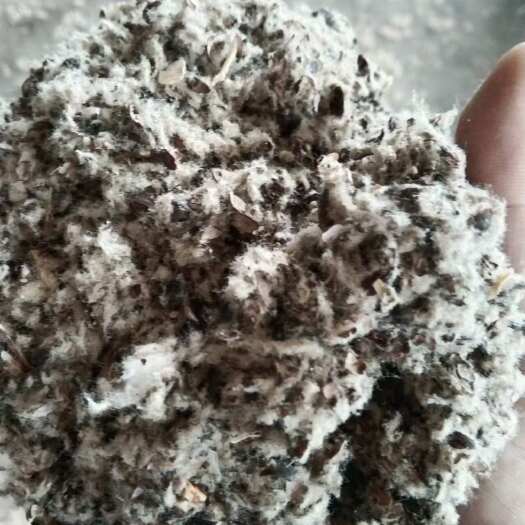 石河子市棉籽壳工厂化标准