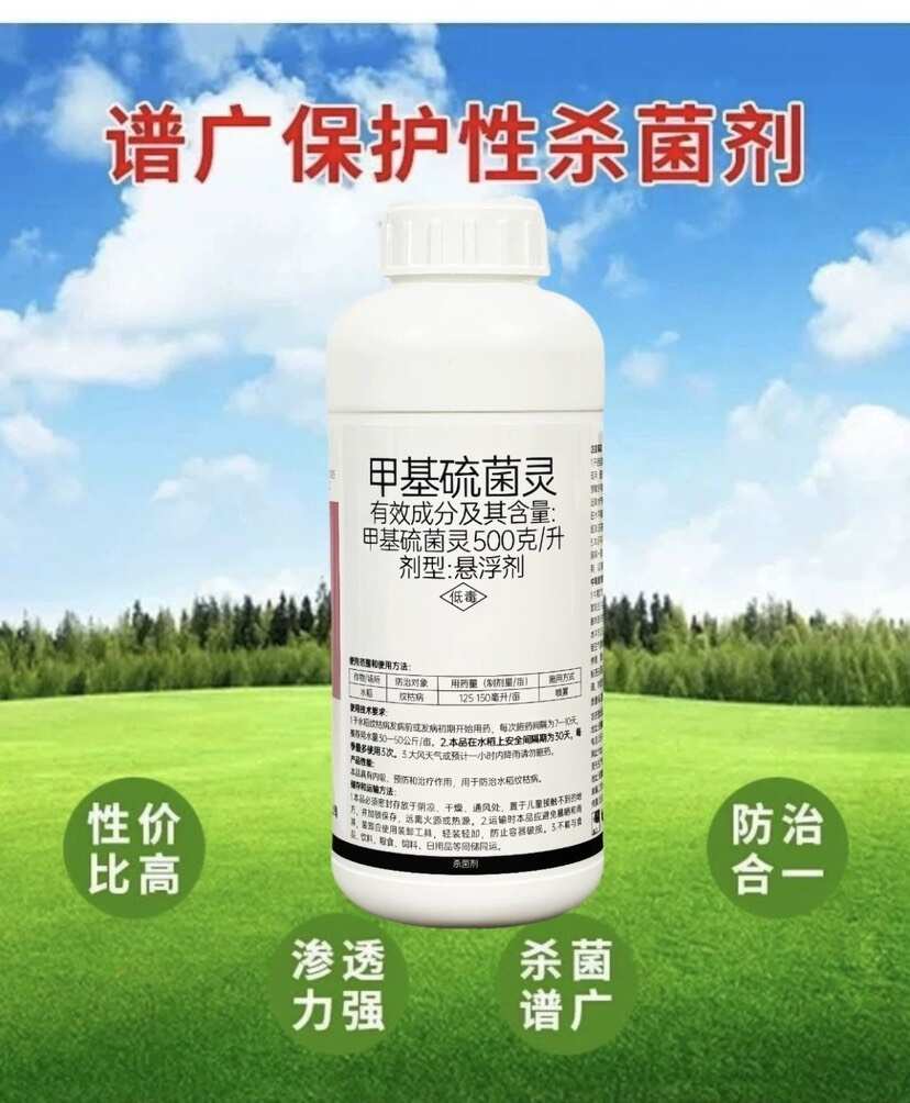 50%甲基硫菌靈懸浮劑白粉病霜霉病早晚疫病葉斑病黑星病殺菌劑