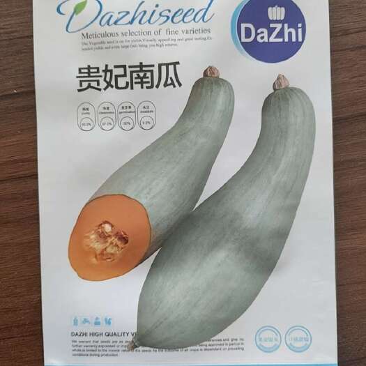 贵族南瓜种子 85% 丑瓜也叫蜜瓜种子
