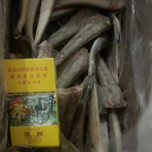 牛尾鱼，辫子鱼