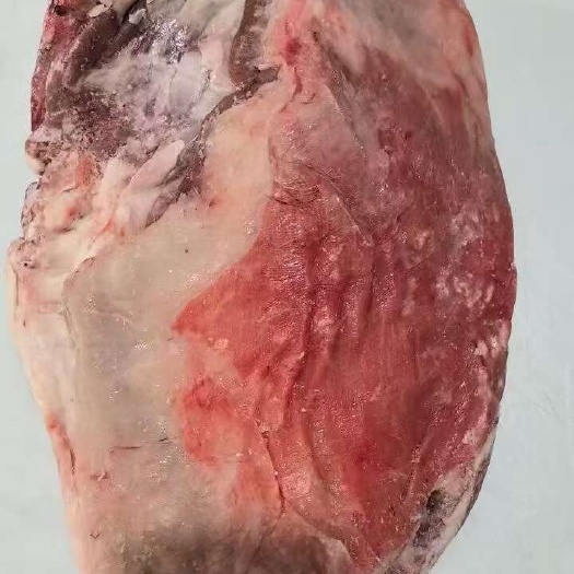 东营羊排 羔羊肉排  3-5斤一片 源头厂家直供 一件起批