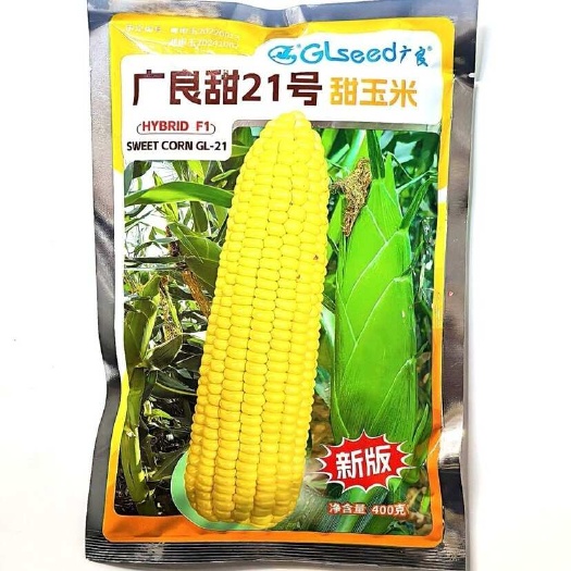 广良甜21号甜玉米种子黄甜鲜食水果玉米种非转基因口感好40