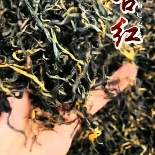 凤庆县红茶
