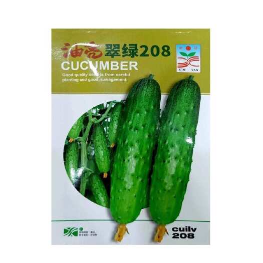 常德水果黄瓜种子油亮翠绿208小黄瓜阳台盆栽菜子农家蔬菜种子四季