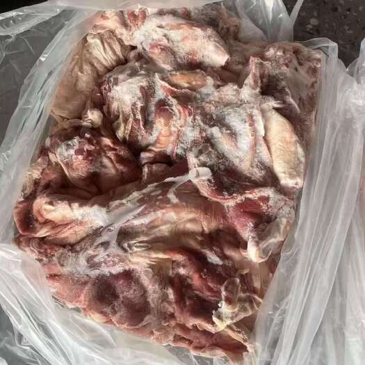河间市羊腩肉，羔羊腩肉，精修去油羊腩