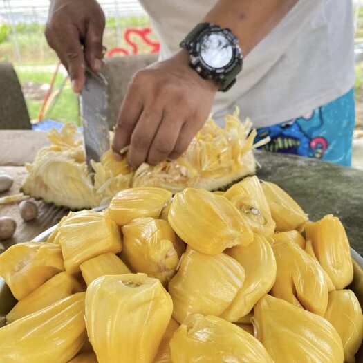 青岛海南黄肉菠萝蜜应当季热带新鲜水果大树木波罗特产包邮