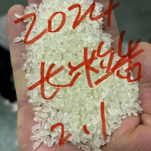 五常市新米东北长粒香大米