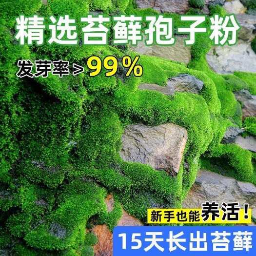 张家界张家界永定区优质地被植物苗木花草批发零售