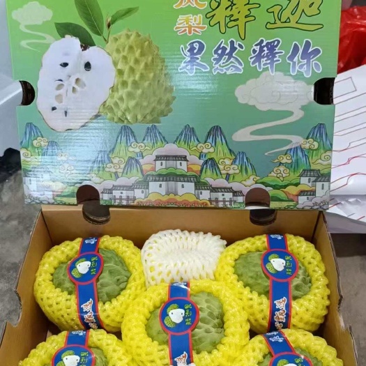 云霄县新鲜释迦果 当日采摘现发货 果香浓郁口感佳