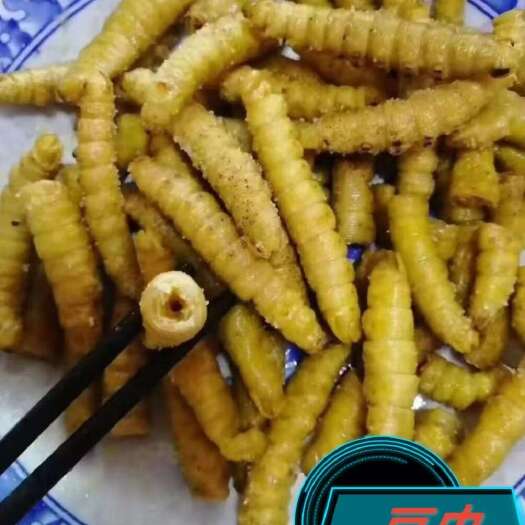 南宁昆虫