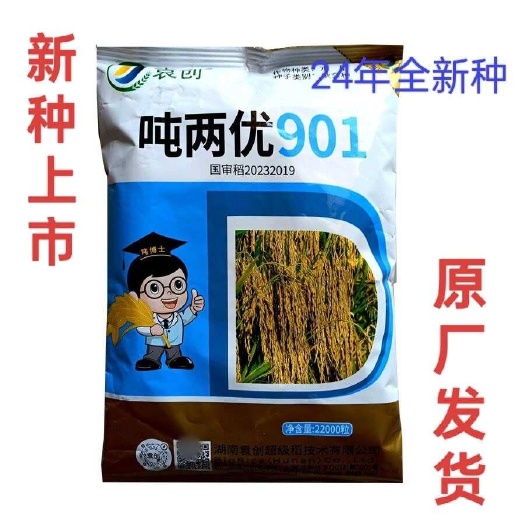 常德吨两优901水稻种子 杂交高产稻籼稻种籽稻谷种国审原包装超矮
