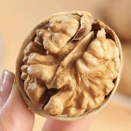 温宿县新疆阿克苏地区温宿县薄皮核桃
