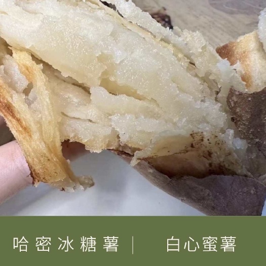 哈密红薯  2024新鲜冰糖白心蜜薯 超甜番薯地瓜 电商代发