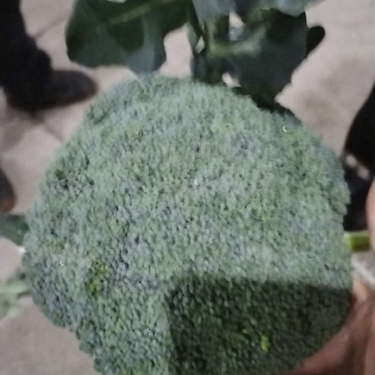 西兰花
