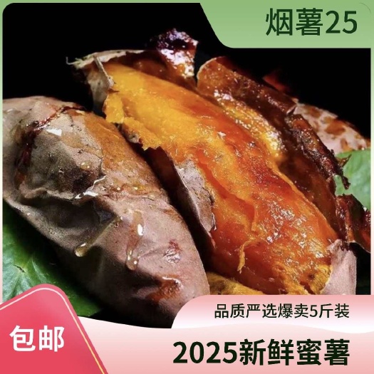 现货！！烟薯25原种蜜薯 2025 唐山烟薯