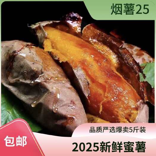 夏津县现货！！烟薯25原种蜜薯 2025 唐山烟薯