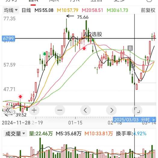 长沙木耳