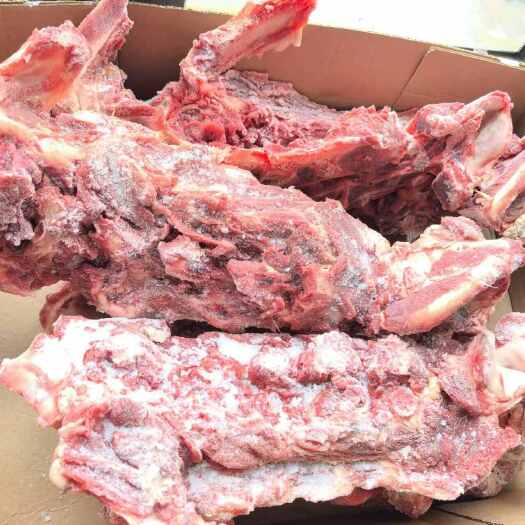 上海3厂多肉牛脖骨