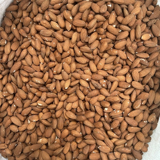 南雄市原味巴坦木仁 片 粉 条 碎各种规格
