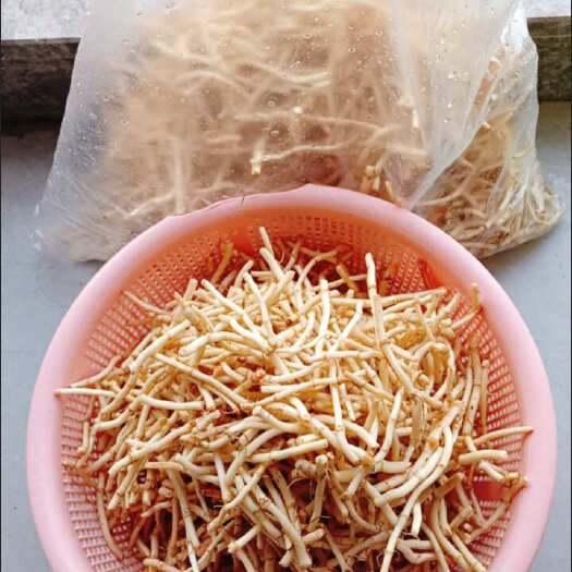 四川鱼腥草，新鲜折耳根，欢迎老板选购