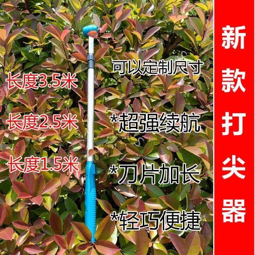 临沂荔枝花打尖自带电池金银花果树冬枣葡萄樱桃花椒辣椒打尖