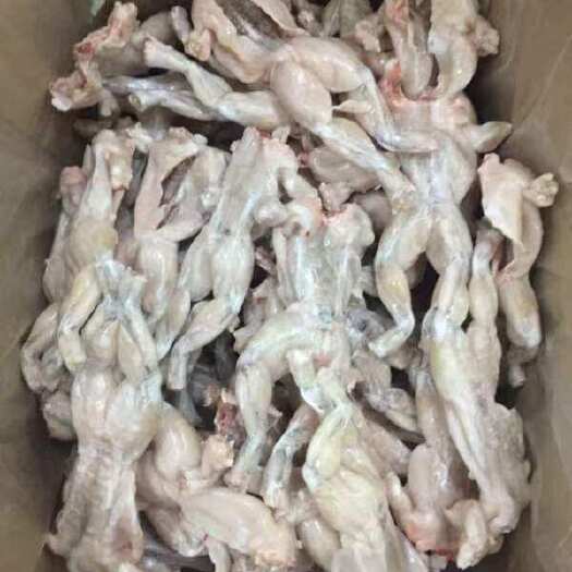 单冻牛蛙 牛蛙前腿 真空蛙肉 厂价直销