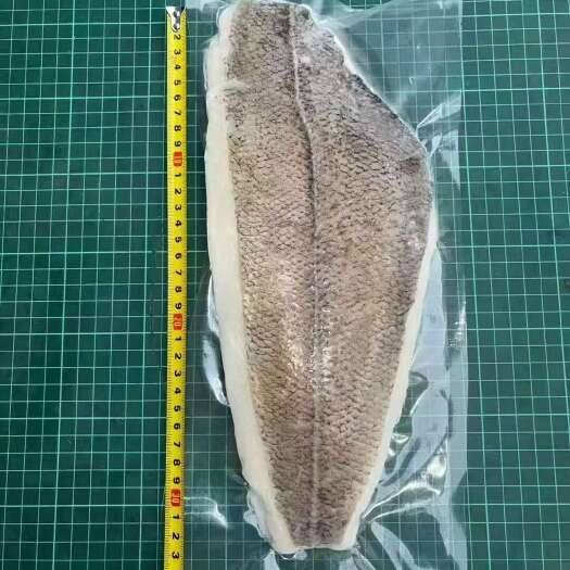 青岛比目鱼