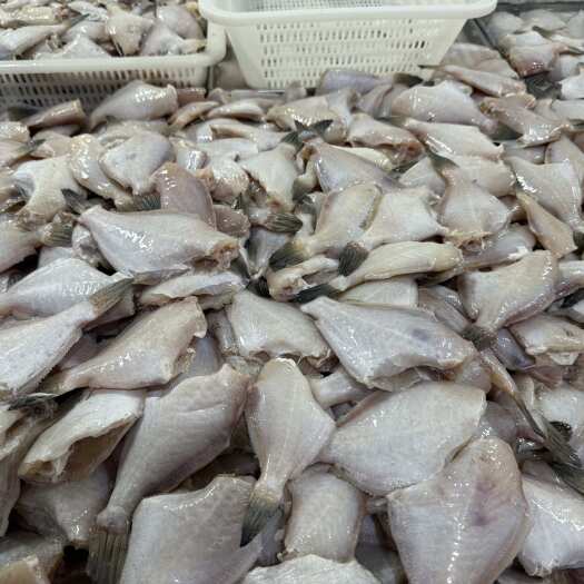 北海三去耗儿鱼剥皮鱼马面鱼，北海厂家一手直供，量大价优，货源稳定