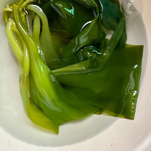 盐渍小海带海带苗5斤有根须