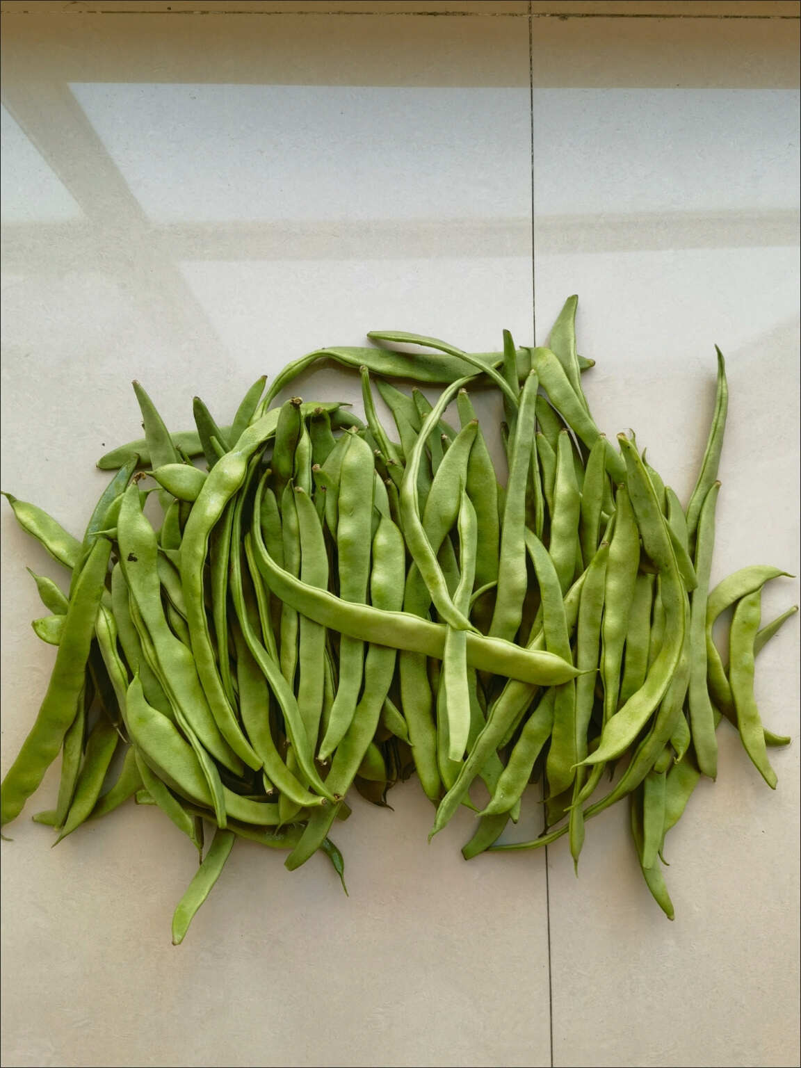 云南現(xiàn)摘扁豆，歡迎老板選購