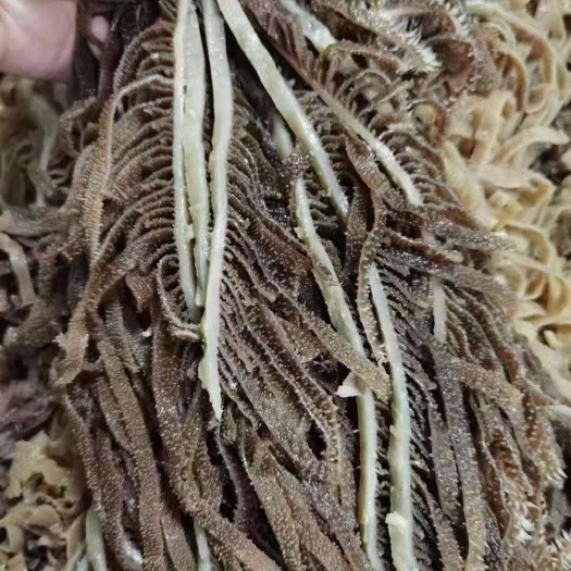重庆市毛肚  精品黑千层  重庆工厂直发  火锅佳选