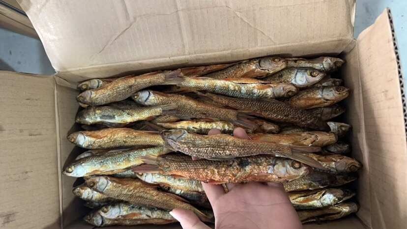 资兴市麦鲮鱼批发全干货
