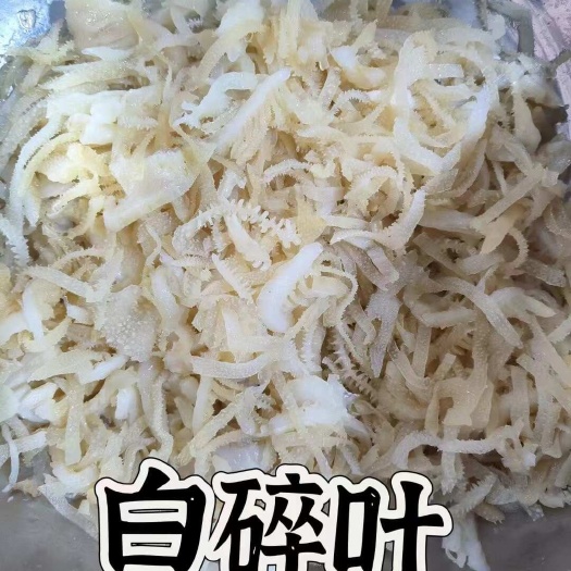 重庆市碎叶  千层肚碎叶