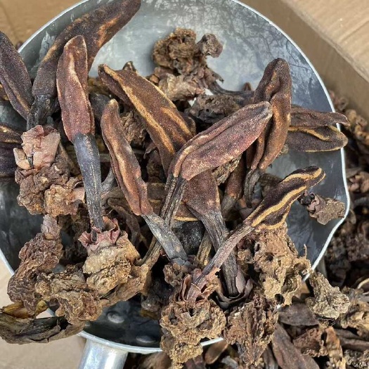 ￼ 回春草新货 水洗干净 自然晒干产地直销 一手货源自量大议