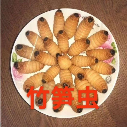 哈尔滨黑龙江批发竹笋虫